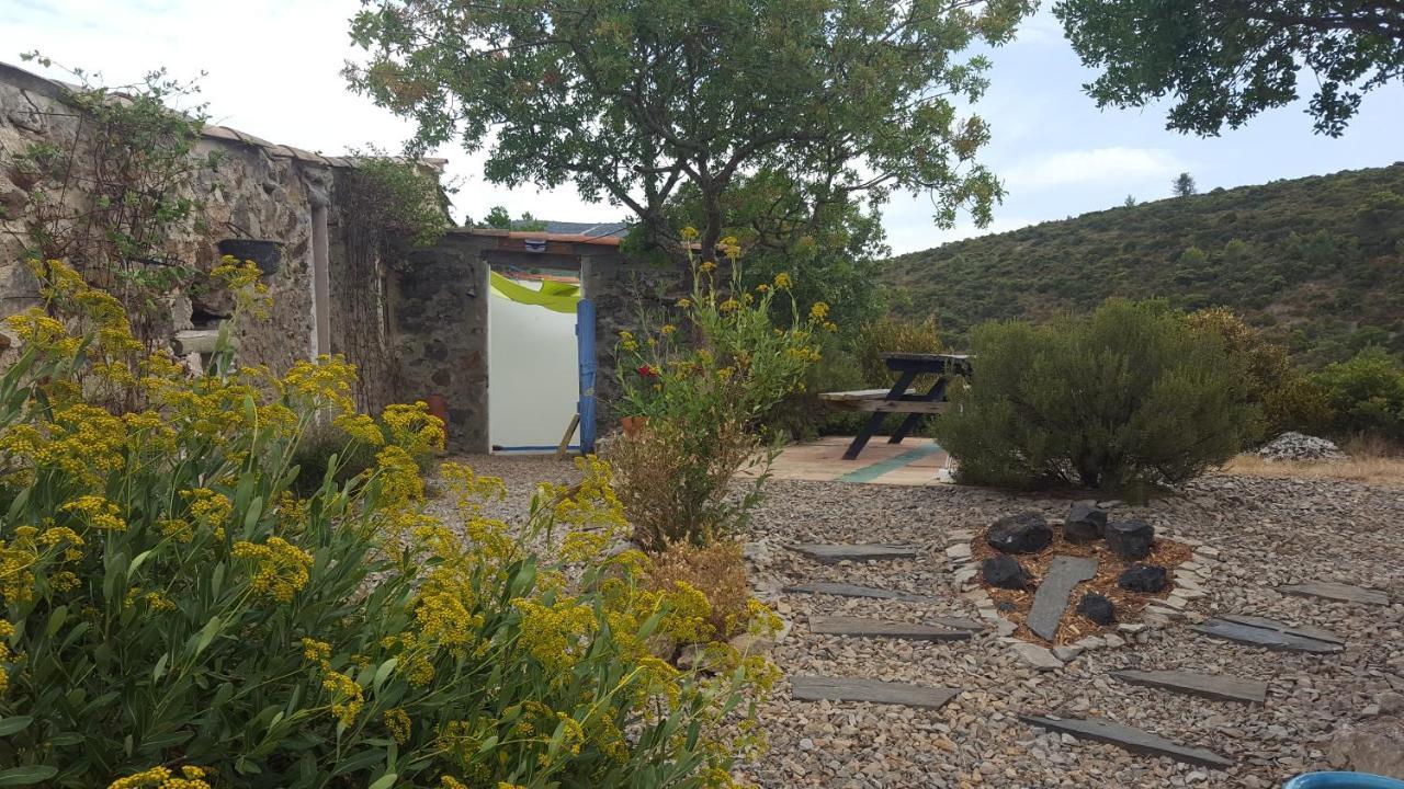 Gite Dans Ancienne Bergerie En Pleine Garrigue Fraissé-des-Corbières Exterior foto