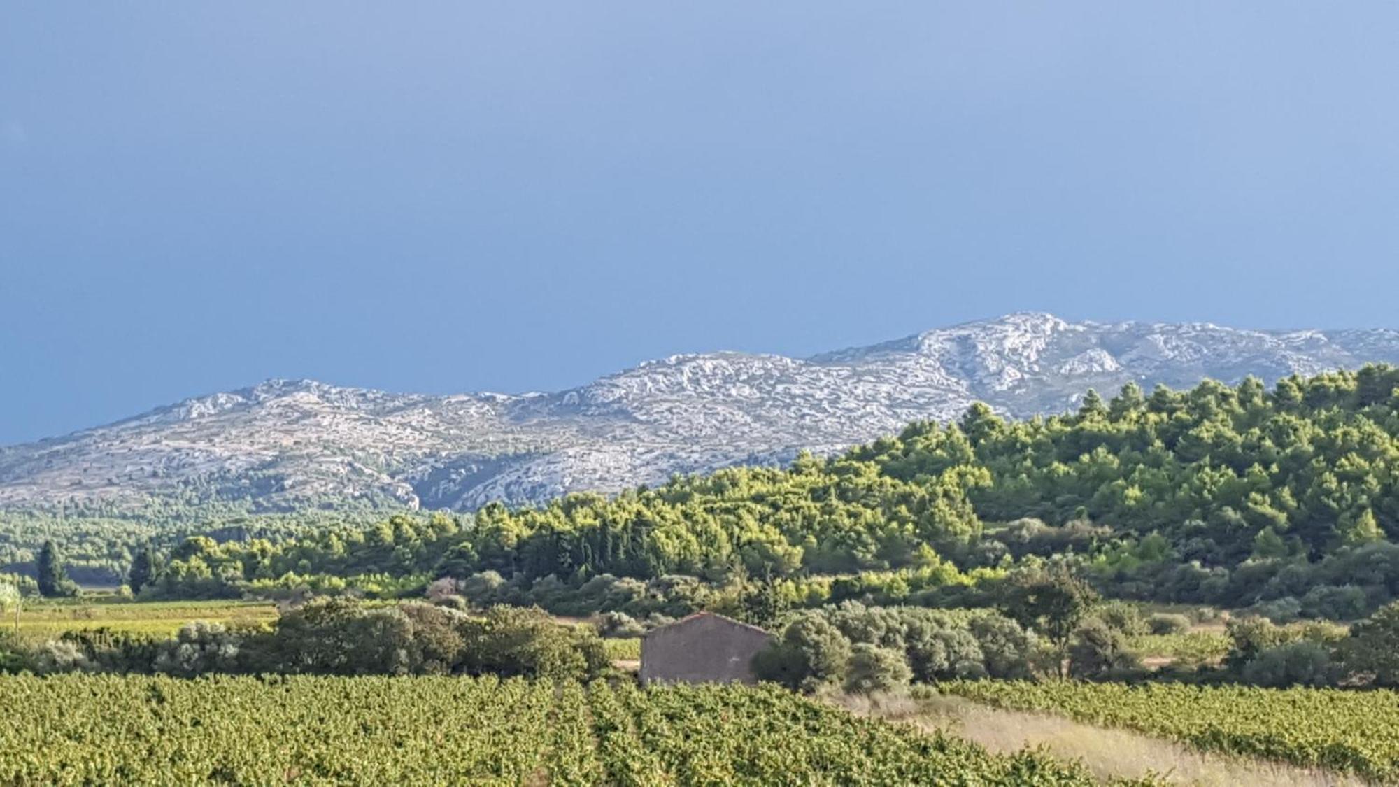 Gite Dans Ancienne Bergerie En Pleine Garrigue Fraissé-des-Corbières Exterior foto